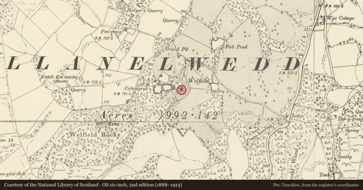 Ordnance Survey six-inch map, 2nd edition (1888–1913) covering the location of Walls, revetment and steps to terrace on S side of Cefndyrys, Llanelwedd, Powys, with a pin at the register's coordinates