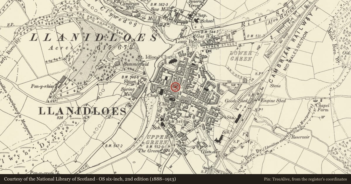 Ordnance Survey six-inch map, 2nd edition (1888–1913) covering the location of The Hollies, Llanidloes, Powys, with a pin at the register's coordinates
