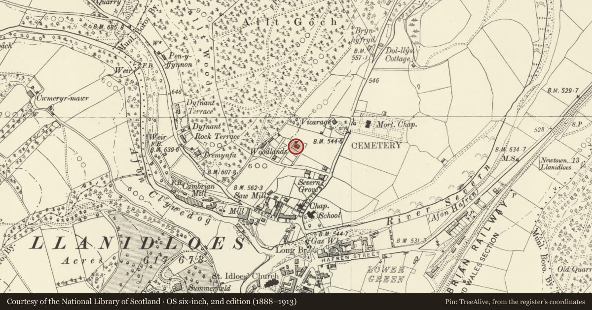 Ordnance Survey six-inch map, 2nd edition (1888–1913) covering the location of Brynderwen, Llanidloes, Powys, with a pin at the register's coordinates