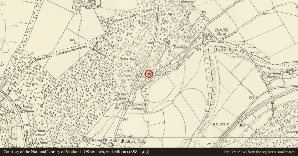 Ordnance Survey six-inch map, 2nd edition (1888–1913) covering the location of Dol-Llys Lodge, Llanidloes, Powys, with a pin at the register's coordinates