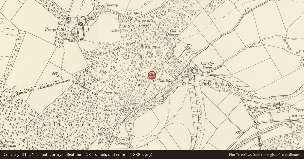 Ordnance Survey six-inch map, 2nd edition (1888–1913) covering the location of Dol-Llys Hall, Llanidloes, Powys, with a pin at the register's coordinates