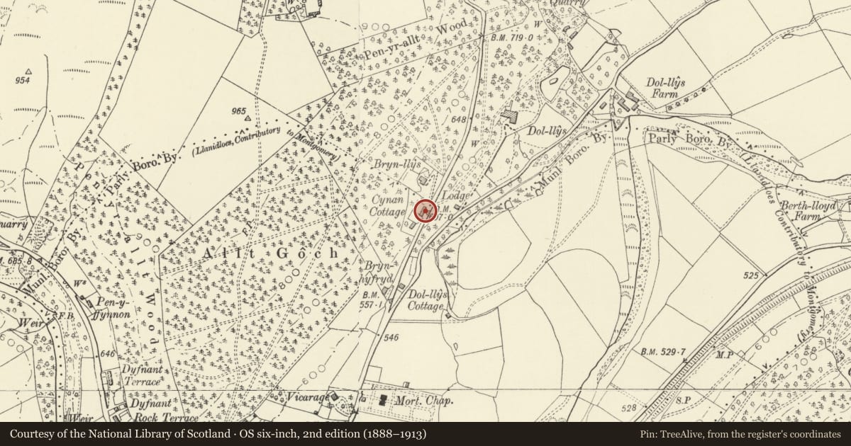 Ordnance Survey six-inch map, 2nd edition (1888–1913) covering the location of Cynon Cottage, Llanidloes, Powys, with a pin at the register's coordinates