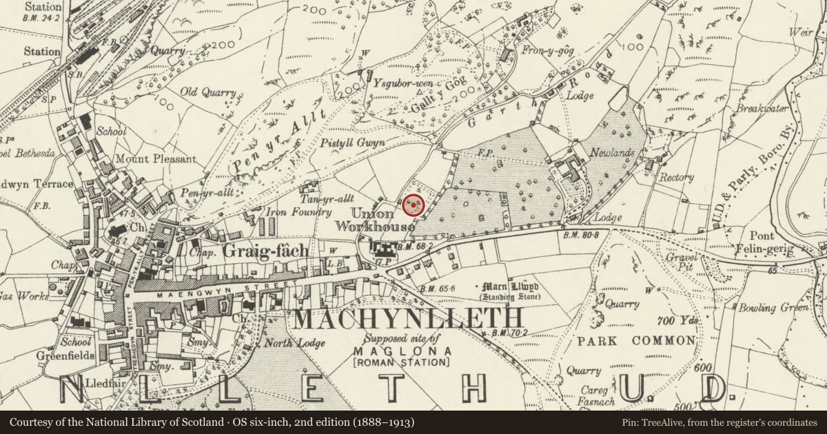 Ordnance Survey six-inch map, 2nd edition (1888–1913) covering the location of Monument to the Owen family in Machynlleth Cemetery, Powys, with a pin at the register's coordinates