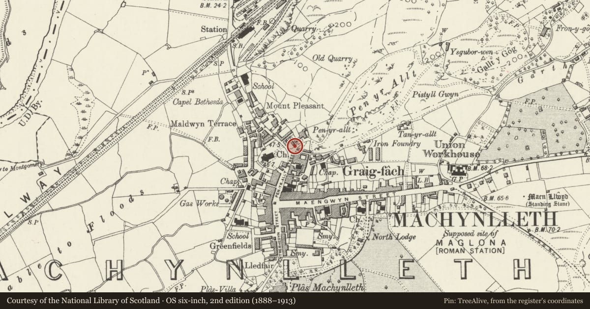 Ordnance Survey six-inch map, 2nd edition (1888–1913) covering the location of Pillar Box on corner below Minfor, Machynlleth, Powys, with a pin at the register's coordinates