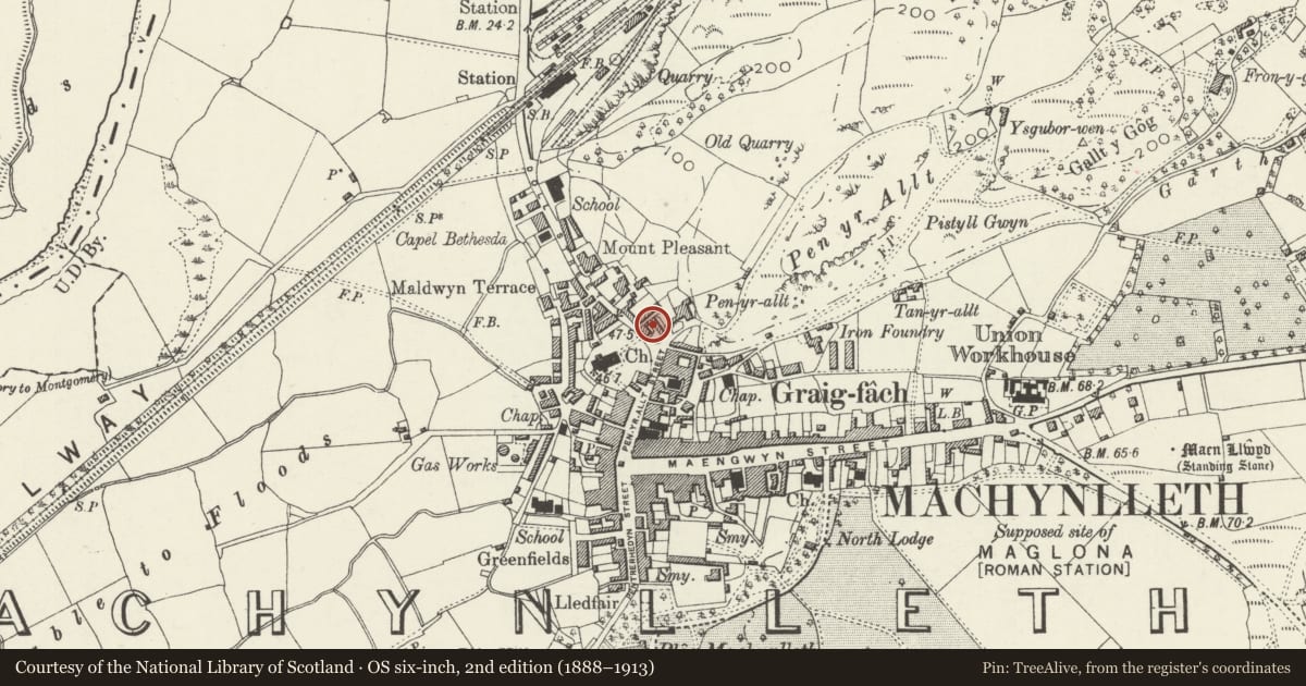 Ordnance Survey six-inch map, 2nd edition (1888–1913) covering the location of Llys Maldwyn, Machynlleth, Powys, with a pin at the register's coordinates