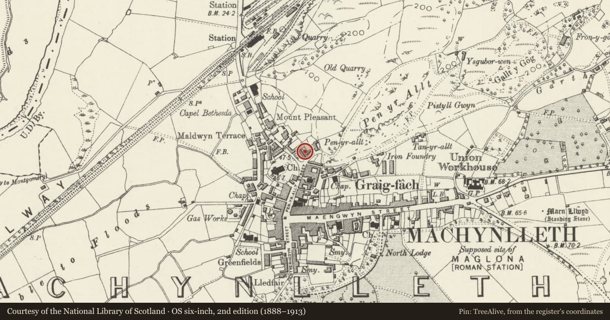 Ordnance Survey six-inch map, 2nd edition (1888–1913) covering the location of Minfor (formerly Vane Almhouses), Machynlleth, Powys, with a pin at the register's coordinates