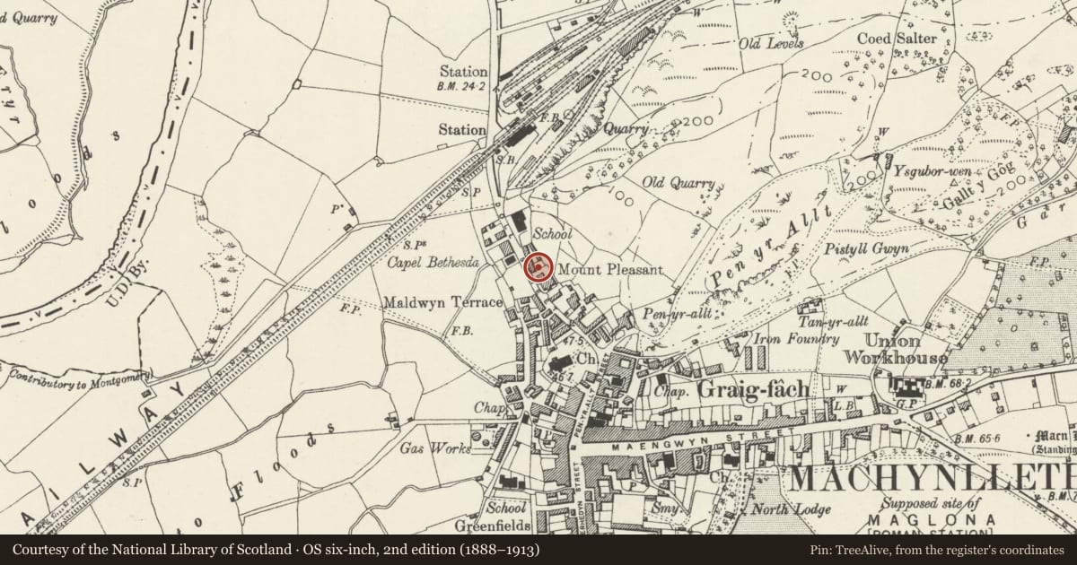 Ordnance Survey six-inch map, 2nd edition (1888–1913) covering the location of Morris Cottages, Machynlleth, Powys, with a pin at the register's coordinates