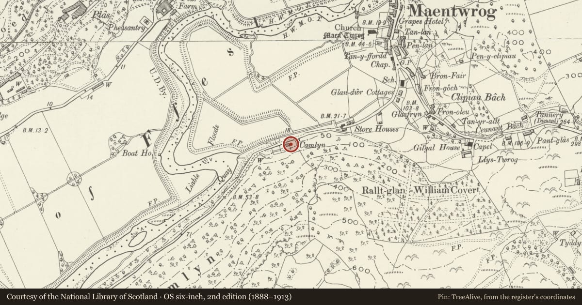Ordnance Survey six-inch map, 2nd edition (1888–1913) covering the location of 1 Dolwaen, Maentwrog, Gwynedd, with a pin at the register's coordinates