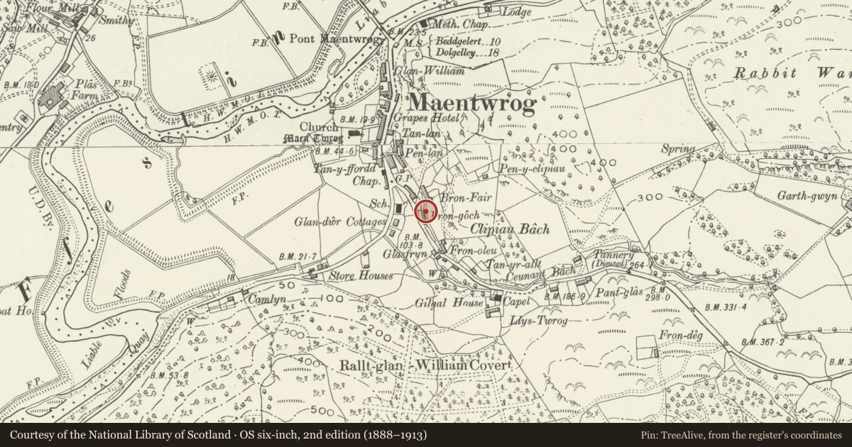Ordnance Survey six-inch map, 2nd edition (1888–1913) covering the location of 1 Fron Goch Terrace, Maentwrog, Gwynedd, with a pin at the register's coordinates