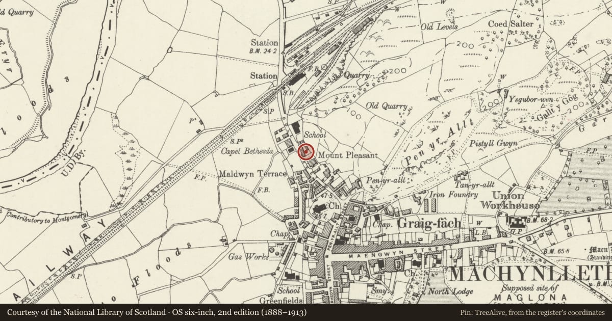 Ordnance Survey six-inch map, 2nd edition (1888–1913) covering the location of Morris Cottages, Machynlleth, Powys, with a pin at the register's coordinates