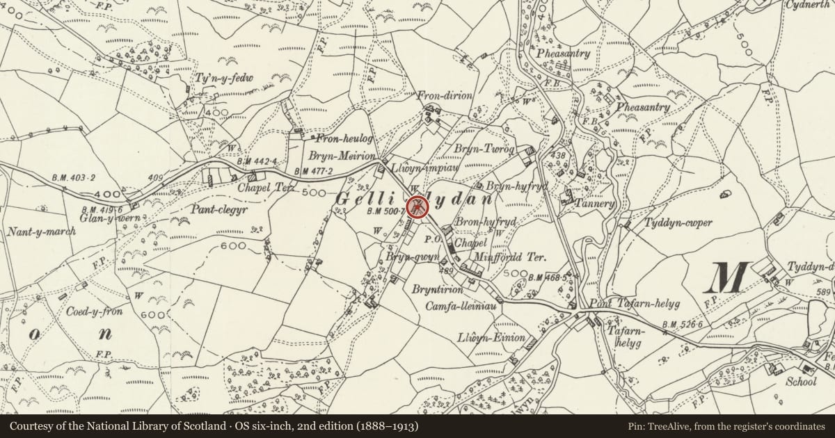 Ordnance Survey six-inch map, 2nd edition (1888–1913) covering the location of 1 Gellilydan Terrace, Maentwrog, Gwynedd, with a pin at the register's coordinates