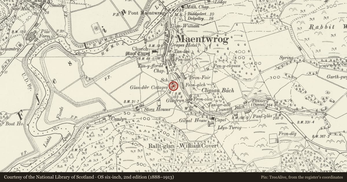 Ordnance Survey six-inch map, 2nd edition (1888–1913) covering the location of Glandwr Cottages including garden wall and gates, Maentwrog, Gwynedd, with a pin at the register's coordinates
