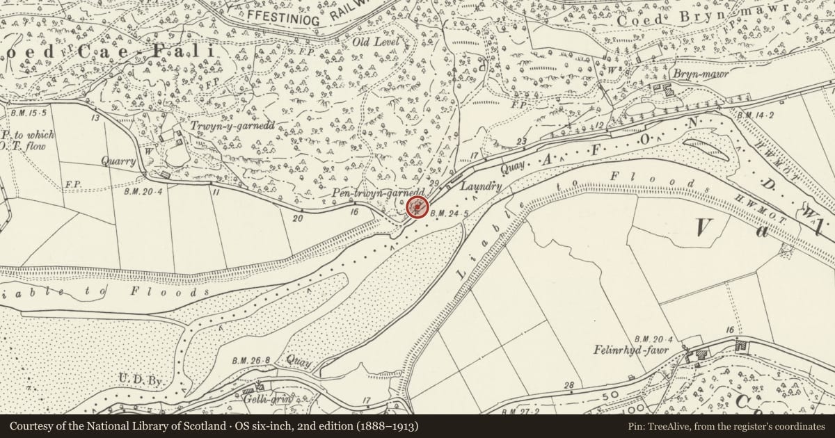 Ordnance Survey six-inch map, 2nd edition (1888–1913) covering the location of 1 Pen-trwyn-garnedd, Maentwrog, Gwynedd, with a pin at the register's coordinates