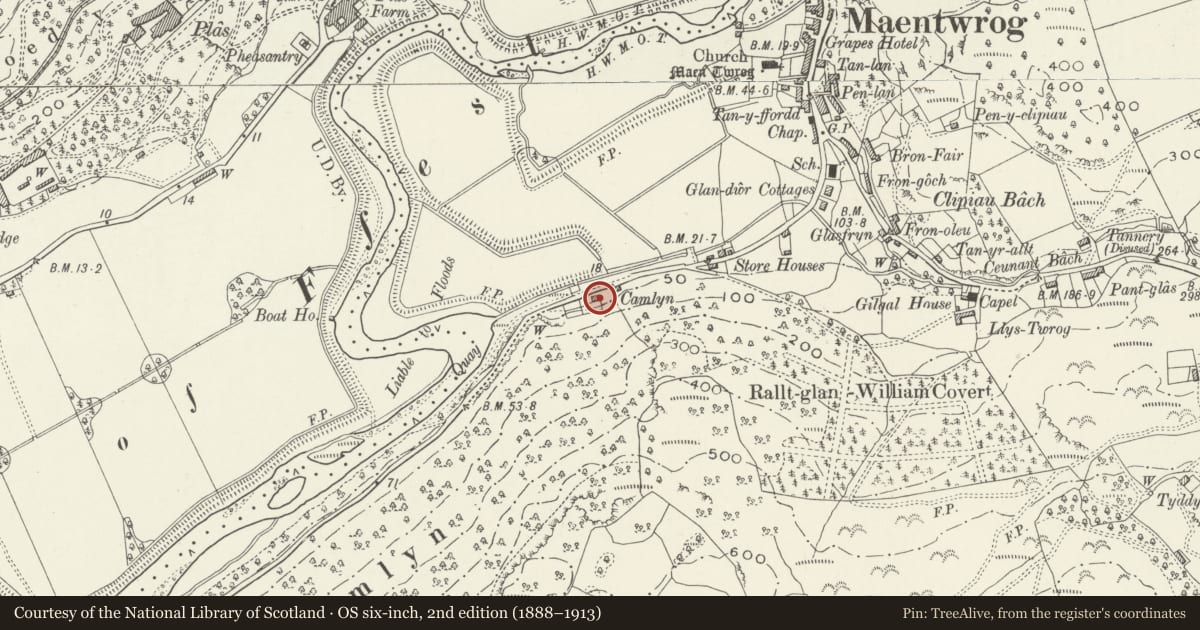 Ordnance Survey six-inch map, 2nd edition (1888–1913) covering the location of 2 Dolwaen, Maentwrog, Gwynedd, with a pin at the register's coordinates