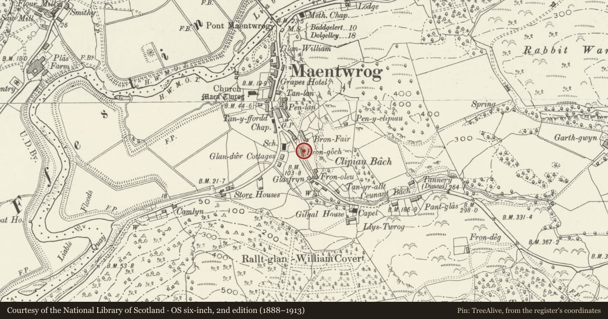 Ordnance Survey six-inch map, 2nd edition (1888–1913) covering the location of 2 Fron Goch Terrace, Maentwrog, Gwynedd, with a pin at the register's coordinates