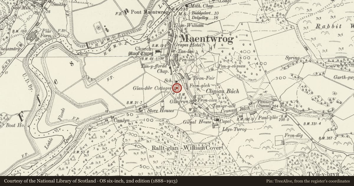 Ordnance Survey six-inch map, 2nd edition (1888–1913) covering the location of 2 Glandwr Cottages including garden wall and gates, Maentwrog, Gwynedd, with a pin at the register's coordinates