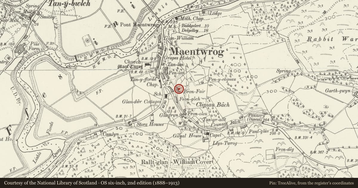 Ordnance Survey six-inch map, 2nd edition (1888–1913) covering the location of 3 Fron Fair Terrace, Maentwrog, Gwynedd, with a pin at the register's coordinates