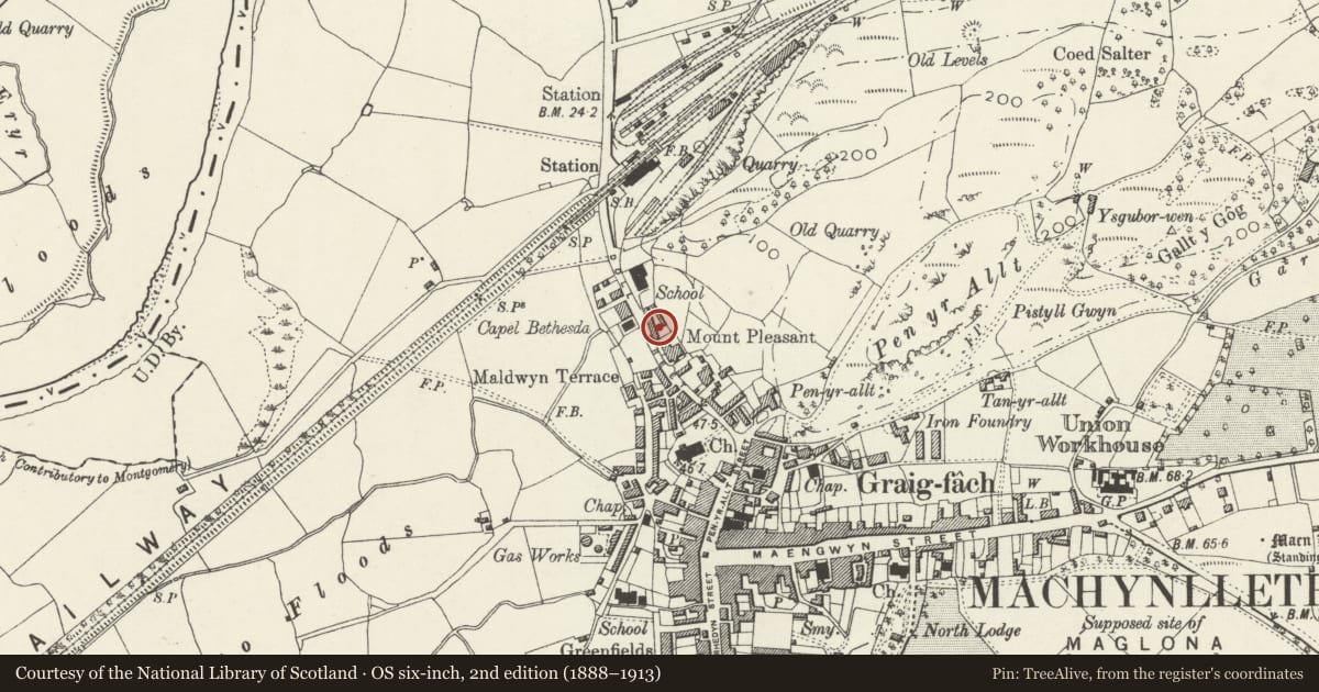 Ordnance Survey six-inch map, 2nd edition (1888–1913) covering the location of Morris Cottages, Machynlleth, Powys, with a pin at the register's coordinates