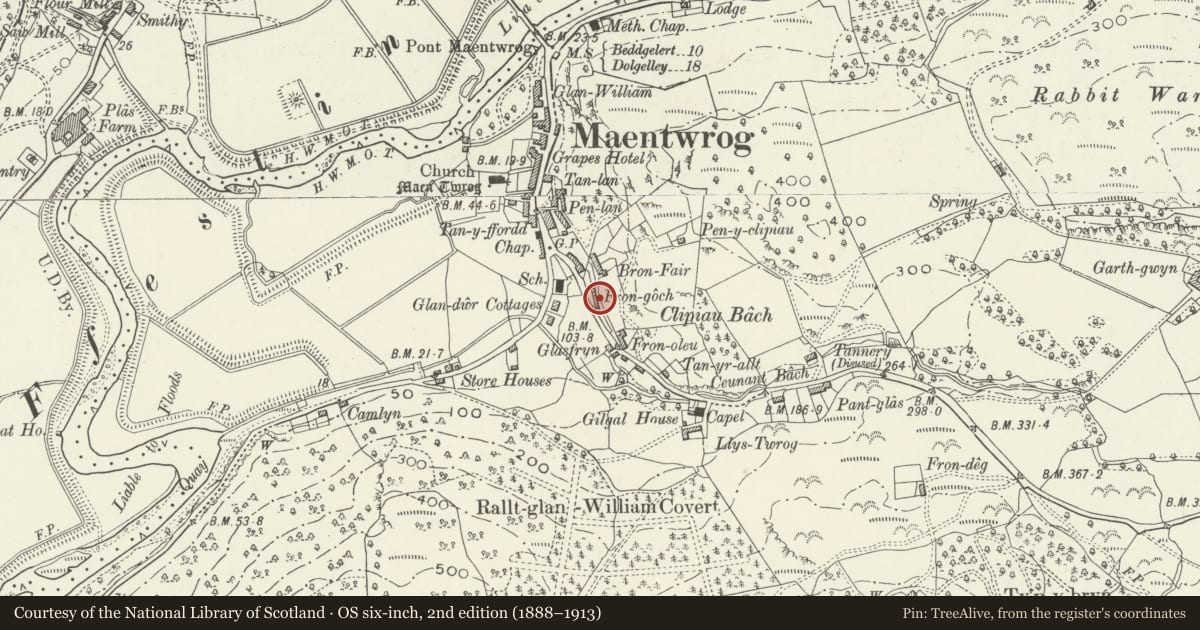 Ordnance Survey six-inch map, 2nd edition (1888–1913) covering the location of 3 Fron Goch Terrace, Maentwrog, Gwynedd, with a pin at the register's coordinates