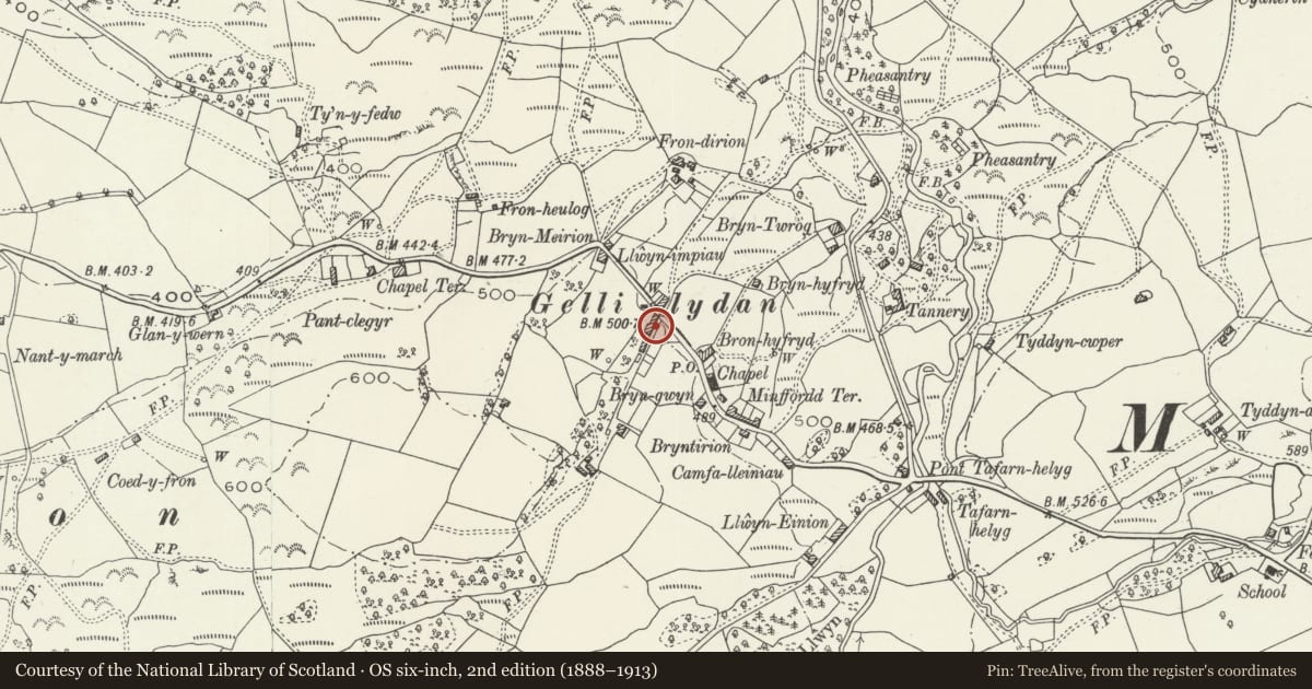 Ordnance Survey six-inch map, 2nd edition (1888–1913) covering the location of Gellilydan Terrace, Maentwrog, Gwynedd, with a pin at the register's coordinates