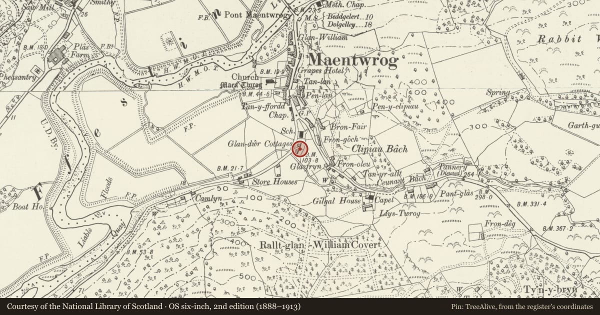 Ordnance Survey six-inch map, 2nd edition (1888–1913) covering the location of 3 Glandwr Cottages including garden wall and gates, Maentwrog, Gwynedd, with a pin at the register's coordinates