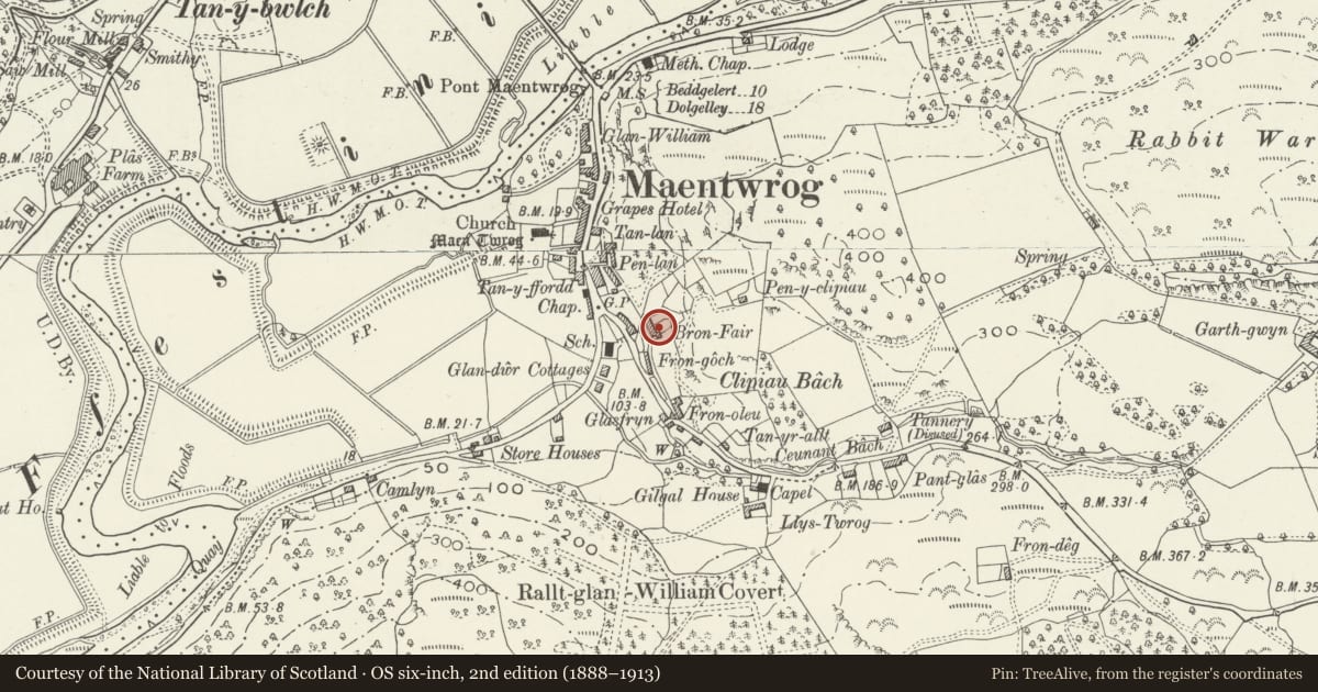 Ordnance Survey six-inch map, 2nd edition (1888–1913) covering the location of 4 Fron Fair Terrace, Maentwrog, Gwynedd, with a pin at the register's coordinates