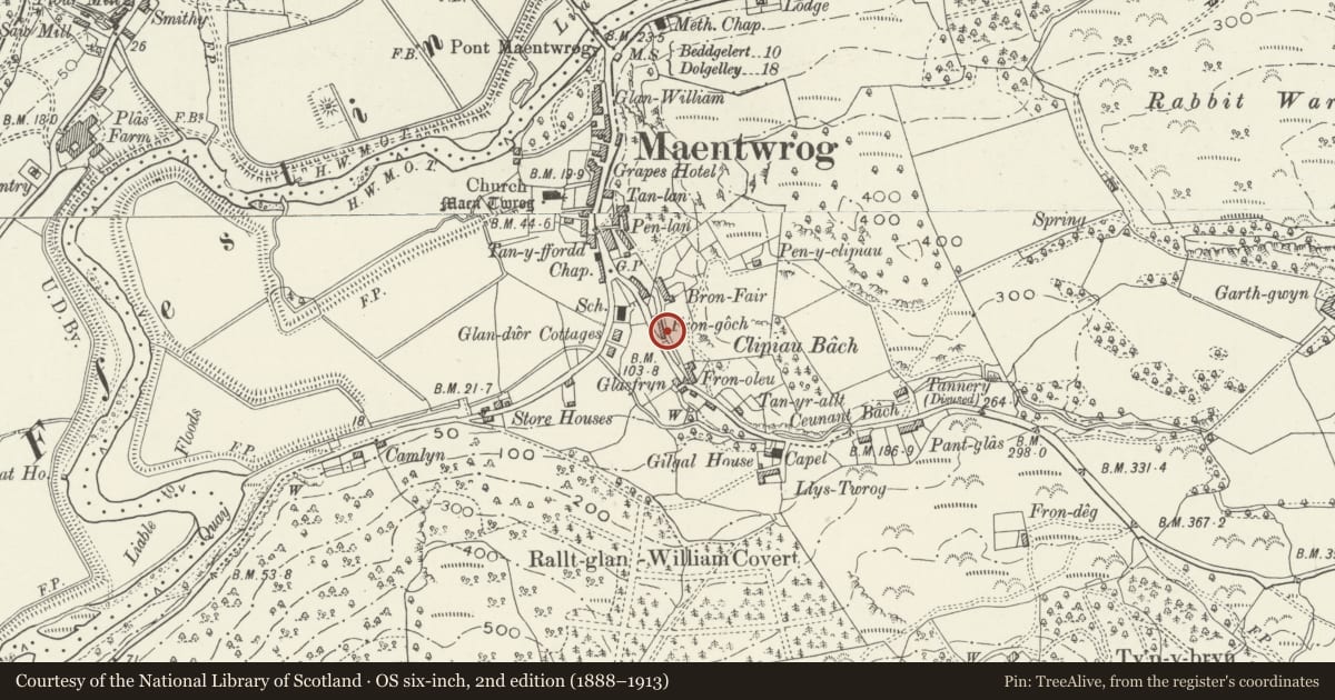 Ordnance Survey six-inch map, 2nd edition (1888–1913) covering the location of 4 Fron Goch Terrace, Maentwrog, Gwynedd, with a pin at the register's coordinates