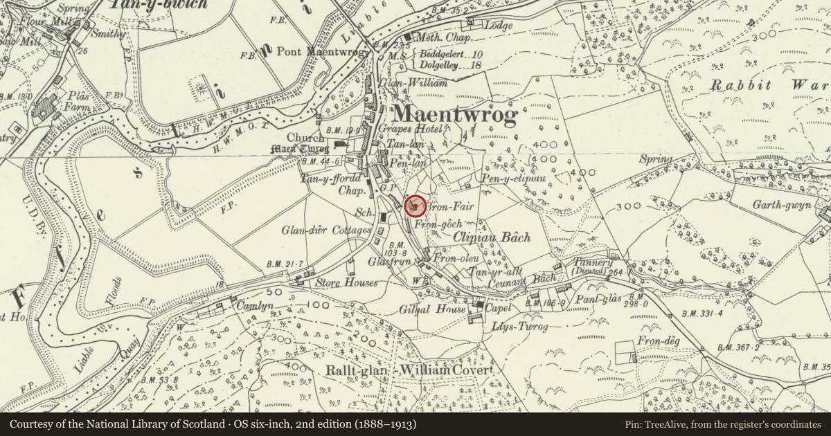 Ordnance Survey six-inch map, 2nd edition (1888–1913) covering the location of 5 Fron Fair Terrace, Maentwrog, Gwynedd, with a pin at the register's coordinates