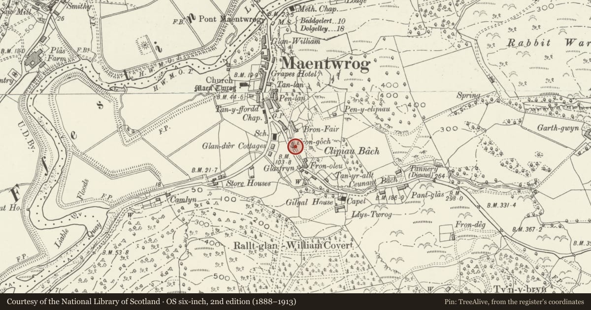 Ordnance Survey six-inch map, 2nd edition (1888–1913) covering the location of 5 Fron Goch Terrace, Maentwrog, Gwynedd, with a pin at the register's coordinates