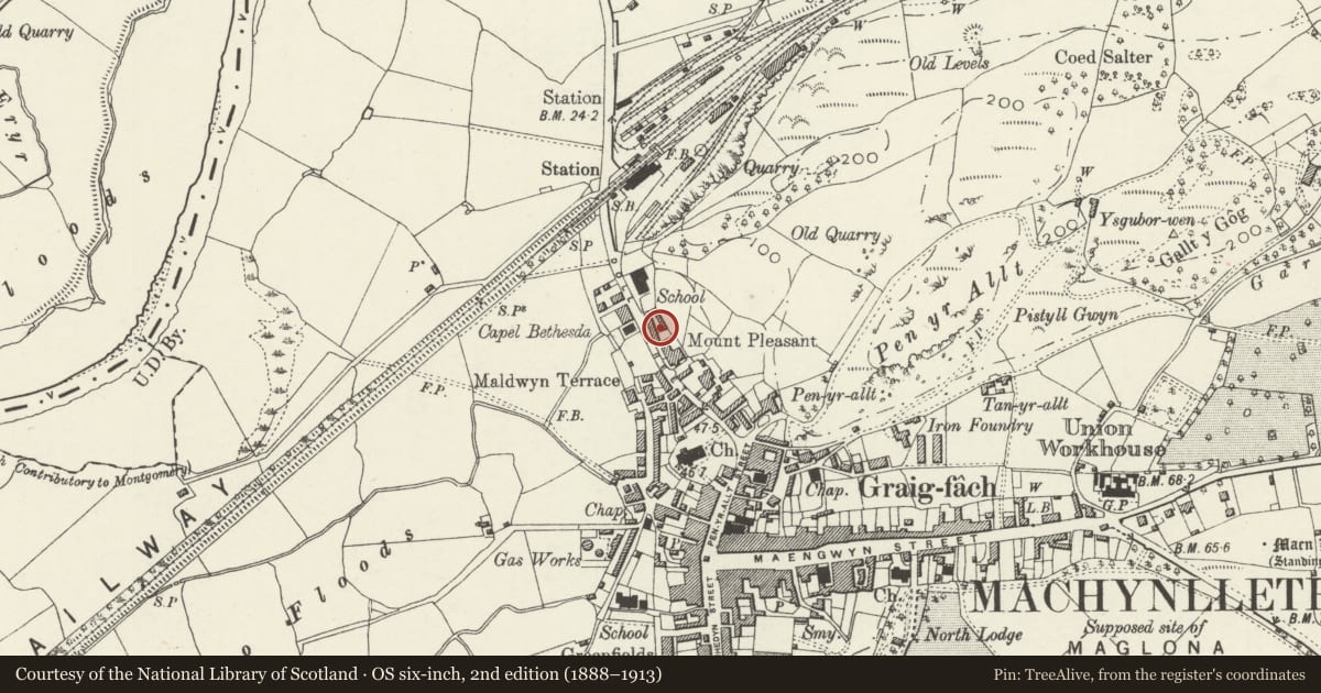 Ordnance Survey six-inch map, 2nd edition (1888–1913) covering the location of Morris Cottages, Machynlleth, Powys, with a pin at the register's coordinates