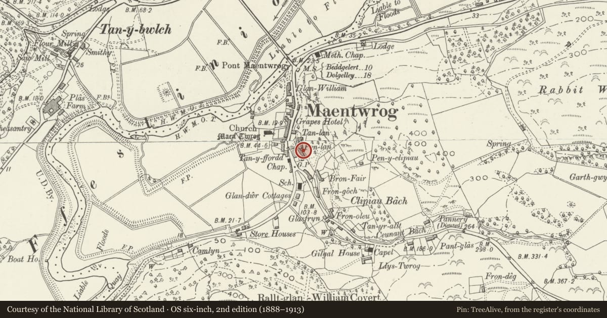 Ordnance Survey six-inch map, 2nd edition (1888–1913) covering the location of Bryn or Penlan flats, Maentwrog, Gwynedd, with a pin at the register's coordinates