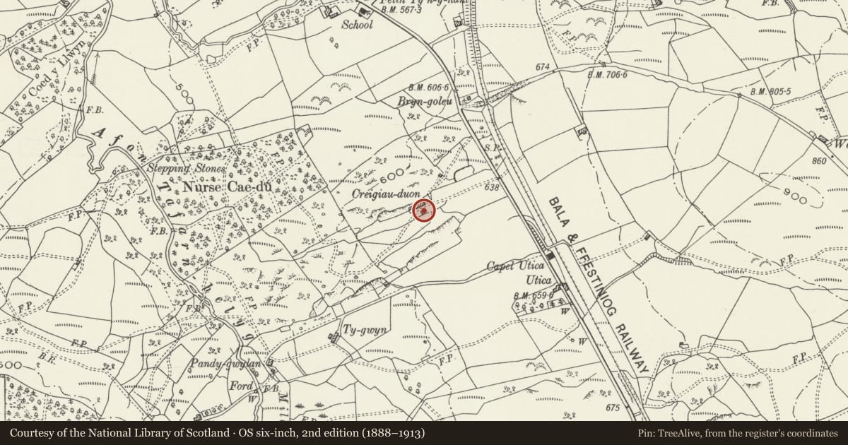 Ordnance Survey six-inch map, 2nd edition (1888–1913) covering the location of Cartshed at Creigiau Duon, Maentwrog, Gwynedd, with a pin at the register's coordinates