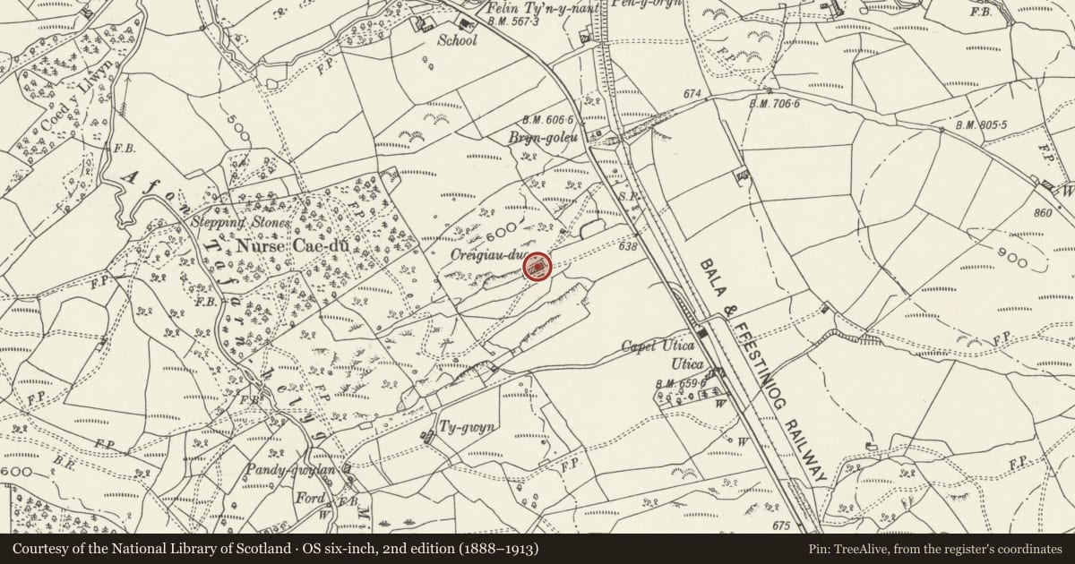 Ordnance Survey six-inch map, 2nd edition (1888–1913) covering the location of Creigiau Duon, Maentwrog, Gwynedd, with a pin at the register's coordinates