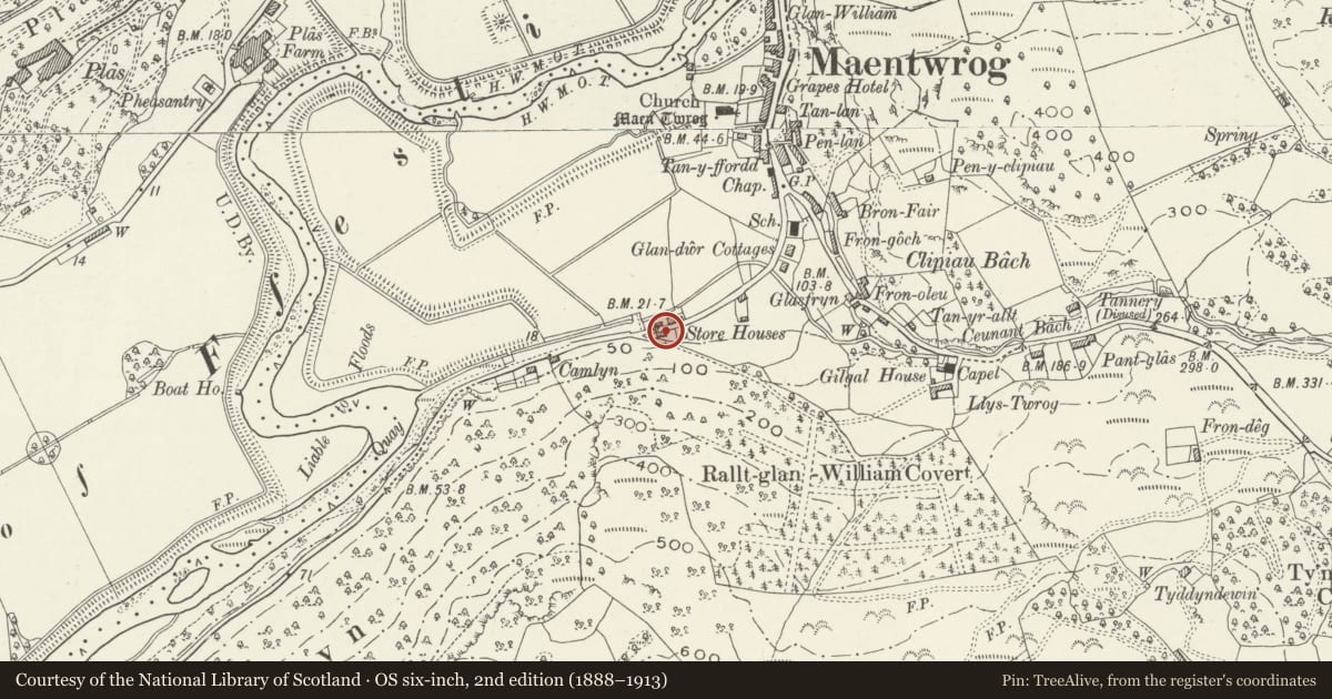 Ordnance Survey six-inch map, 2nd edition (1888–1913) covering the location of Derlwyn, Maentwrog, Gwynedd, with a pin at the register's coordinates