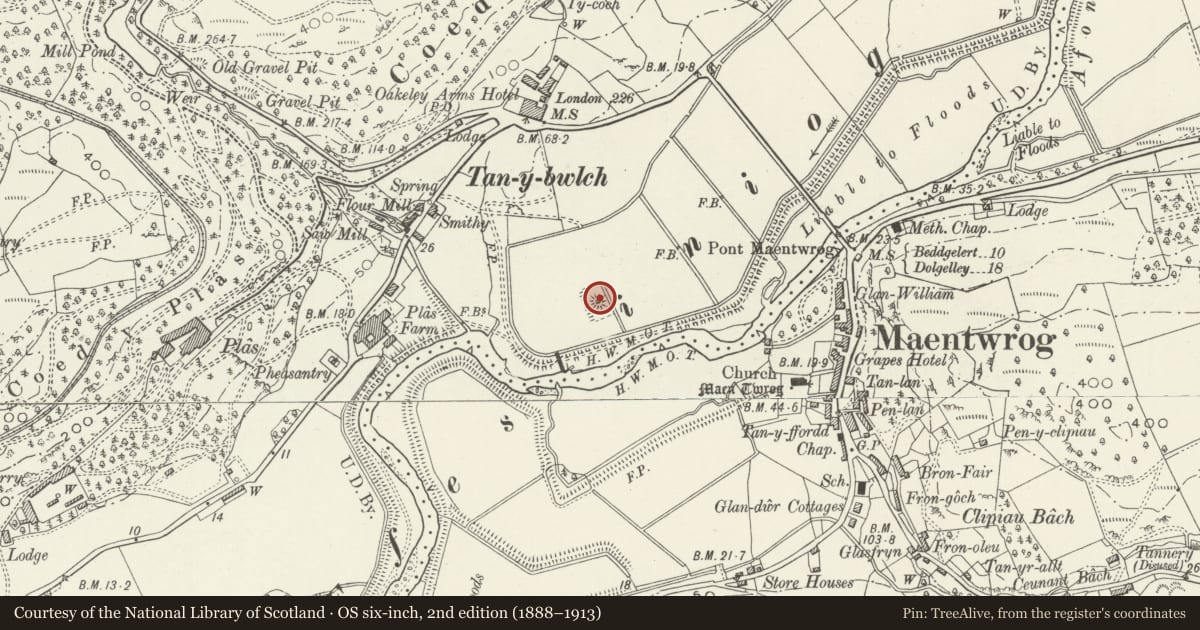 Ordnance Survey six-inch map, 2nd edition (1888–1913) covering the location of Folly at Tan-y-Bwlch, Maentwrog, Gwynedd, with a pin at the register's coordinates