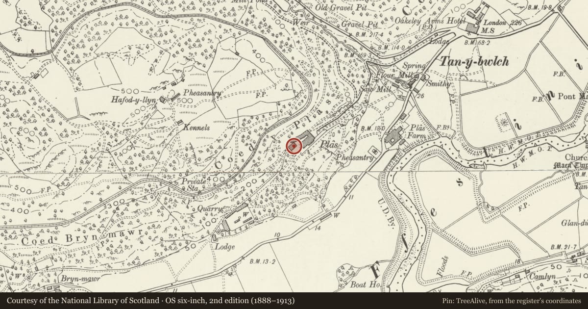 Ordnance Survey six-inch map, 2nd edition (1888–1913) covering the location of Former coach house and stable range at Plas Tan-y-bwlch, Maentwrog, Gwynedd, with a pin at the register's coordinates