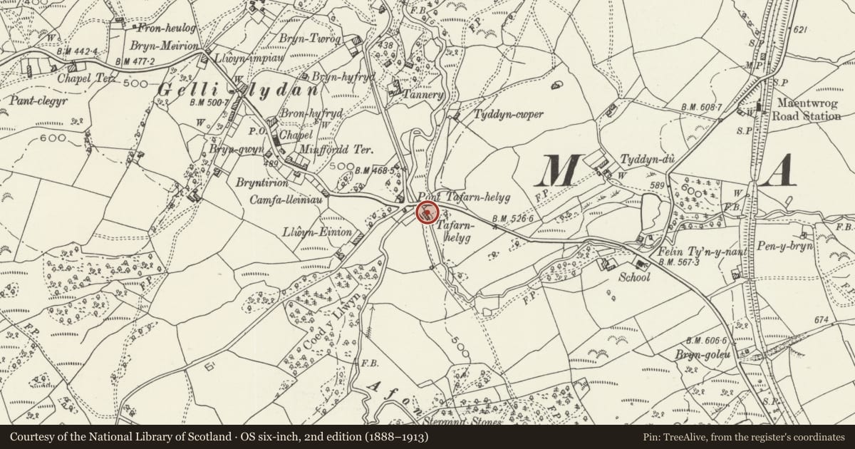 Ordnance Survey six-inch map, 2nd edition (1888–1913) covering the location of Former forge at Tafarn-helyg, Maentwrog, Gwynedd, with a pin at the register's coordinates