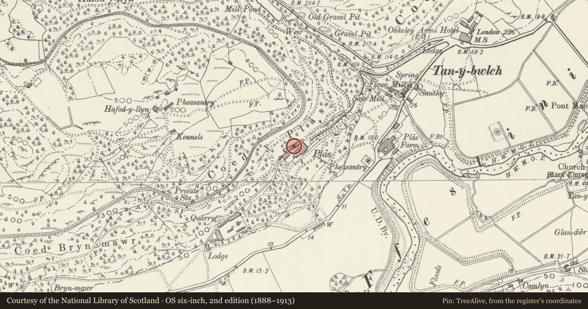 Ordnance Survey six-inch map, 2nd edition (1888–1913) covering the location of Former servant's quarters to rear of Plas Tan-y-bwlch, Maentwrog, Gwynedd, with a pin at the register's coordinates