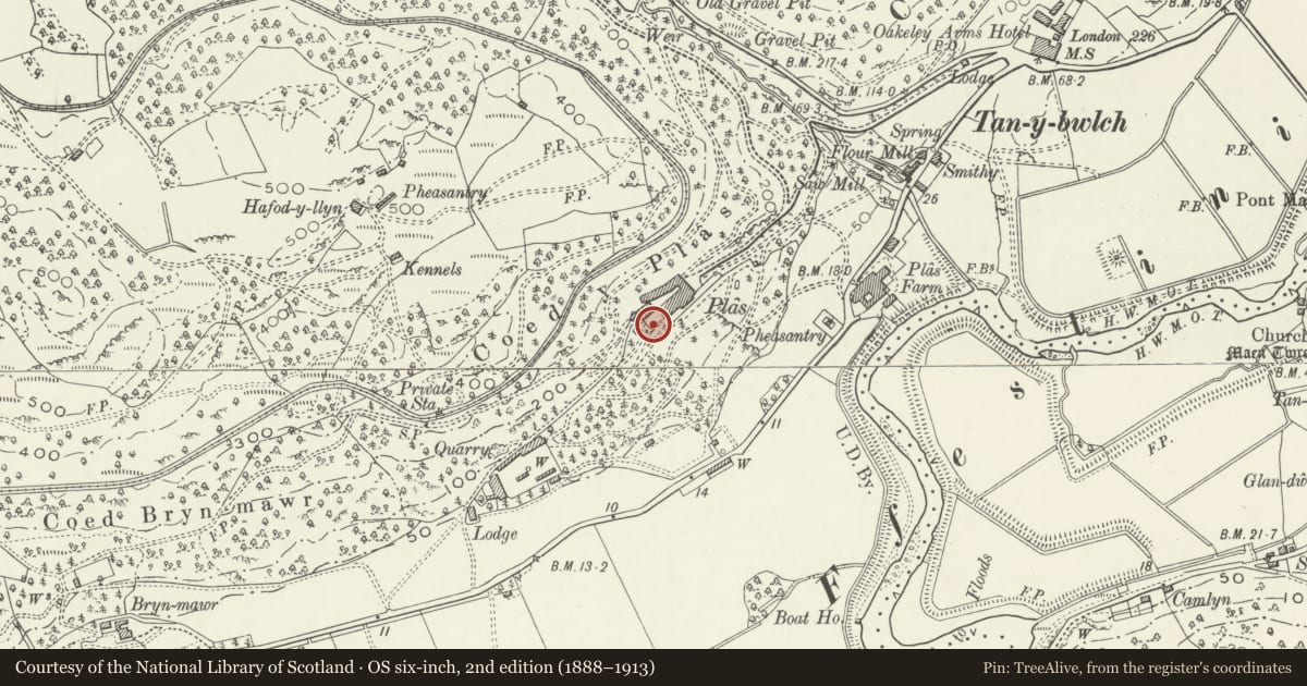 Ordnance Survey six-inch map, 2nd edition (1888–1913) covering the location of Garden Terrace to S and E of Plas Tan y bwlch, Maentwrog, Gwynedd, with a pin at the register's coordinates