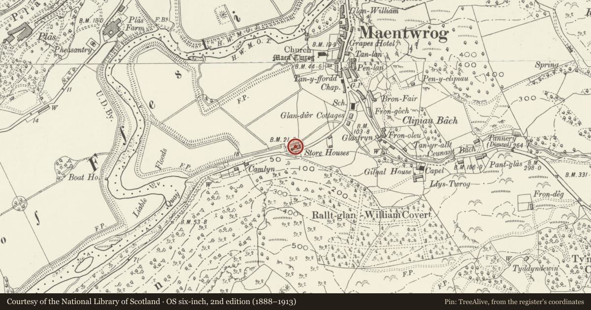 Ordnance Survey six-inch map, 2nd edition (1888–1913) covering the location of Haybarn opposite Derlwyn, Maentwrog, Gwynedd, with a pin at the register's coordinates