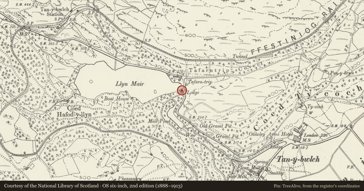 Ordnance Survey six-inch map, 2nd edition (1888–1913) covering the location of Lodge to E of Plas Tan y Bwlch, Maentwrog, Gwynedd, with a pin at the register's coordinates