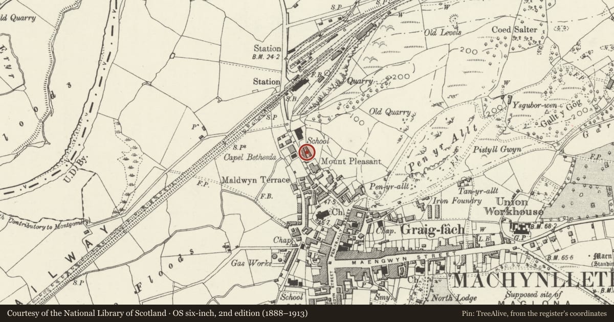 Ordnance Survey six-inch map, 2nd edition (1888–1913) covering the location of 25 Heol-Y-Doll, Machynlleth, Powys, with a pin at the register's coordinates