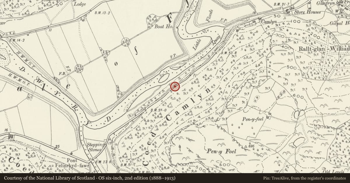 Ordnance Survey six-inch map, 2nd edition (1888–1913) covering the location of Milepost, Maentwrog, Gwynedd, with a pin at the register's coordinates