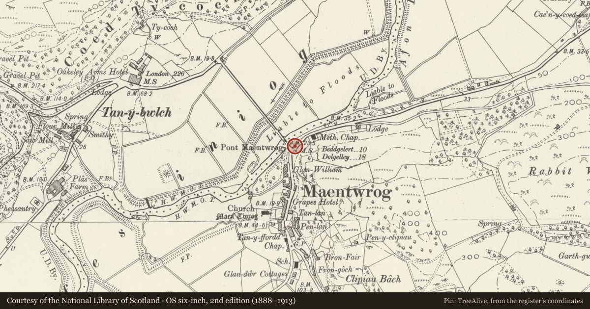 Ordnance Survey six-inch map, 2nd edition (1888–1913) covering the location of Milestone at Pont Maentwrog, Gwynedd, with a pin at the register's coordinates