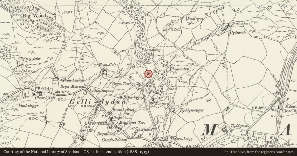 Ordnance Survey six-inch map, 2nd edition (1888–1913) covering the location of Pandy Bach, Maentwrog, Gwynedd, with a pin at the register's coordinates