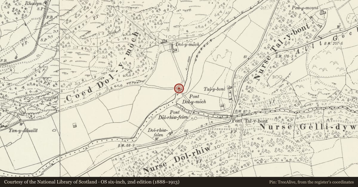 Ordnance Survey six-inch map, 2nd edition (1888–1913) covering the location of Pont Dol-y-Moch (partly in Ffestiniog), Maentwrog, Gwynedd, with a pin at the register's coordinates