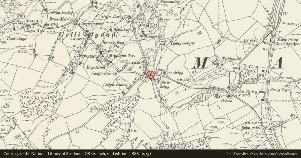 Ordnance Survey six-inch map, 2nd edition (1888–1913) covering the location of Pont Tafarn-helyg, Maentwrog, Gwynedd, with a pin at the register's coordinates