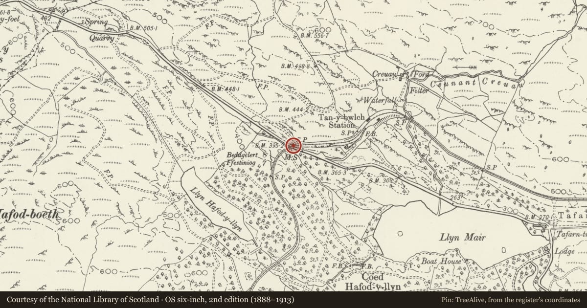 Ordnance Survey six-inch map, 2nd edition (1888–1913) covering the location of Railway Bridge to W of Tan-y-bwlch Station, Maentwrog, Gwynedd, with a pin at the register's coordinates