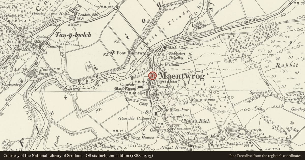 Ordnance Survey six-inch map, 2nd edition (1888–1913) covering the location of Stable block to N of The Grapes Hotel, Maentwrog, Gwynedd, with a pin at the register's coordinates