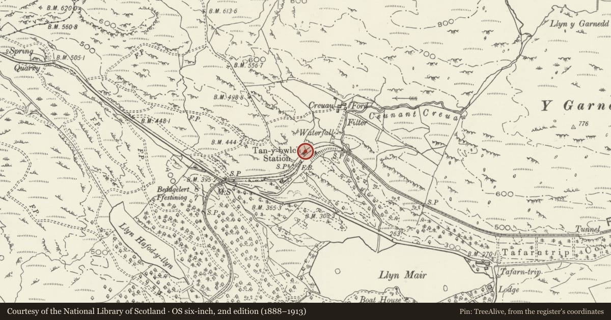 Ordnance Survey six-inch map, 2nd edition (1888–1913) covering the location of Station House at Tan-y-bwlch Station, Maentwrog, Gwynedd, with a pin at the register's coordinates